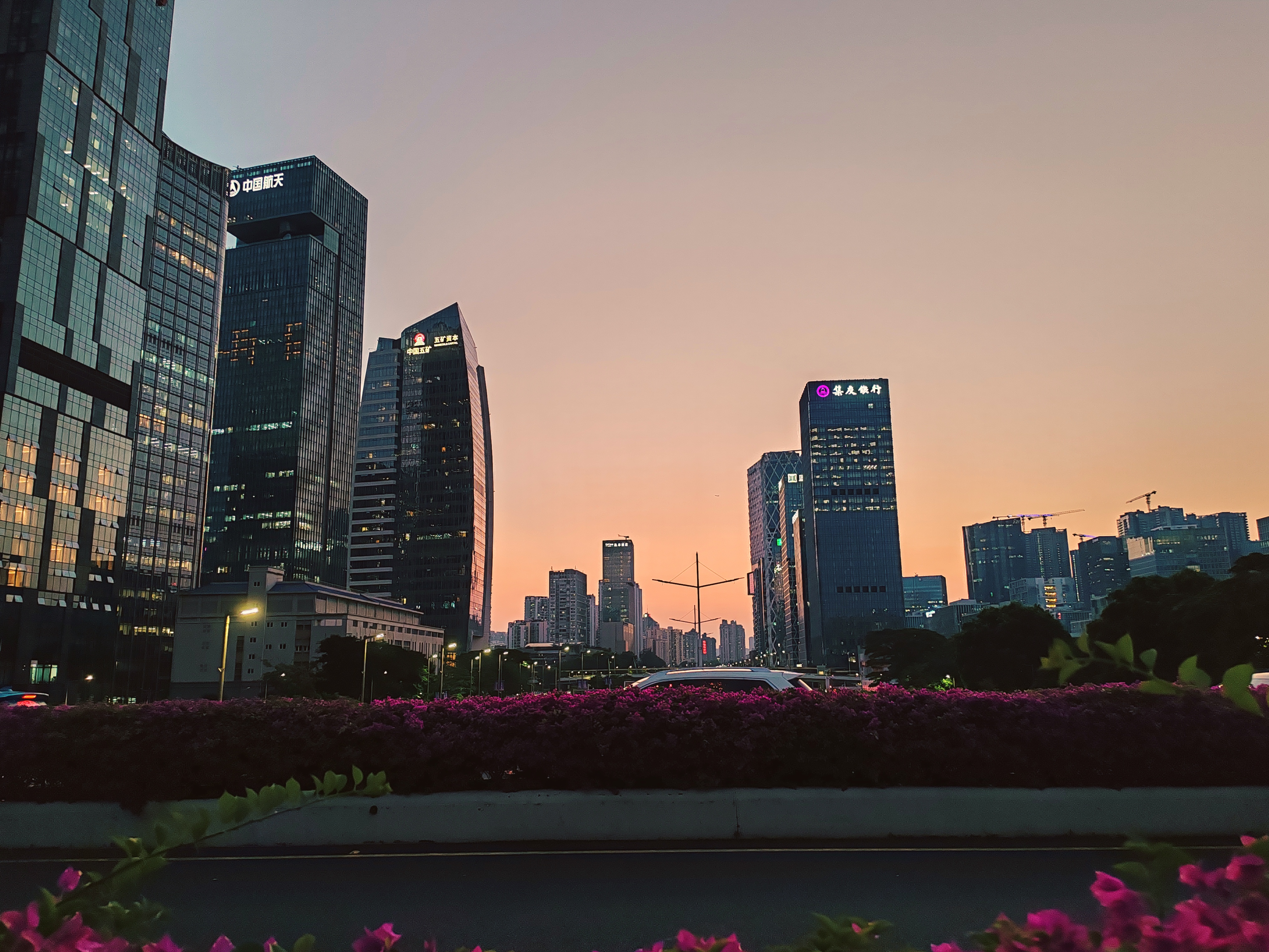 暂别虚妄：谈谈我的实习